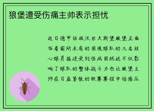 狼堡遭受伤痛主帅表示担忧